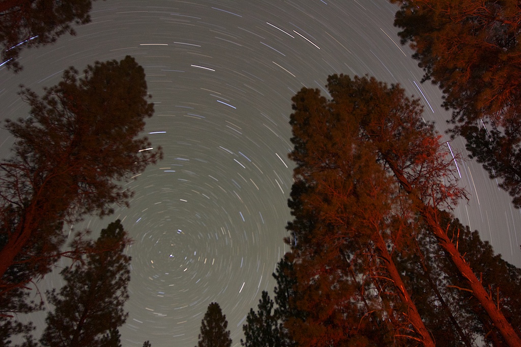 Spinning Stars